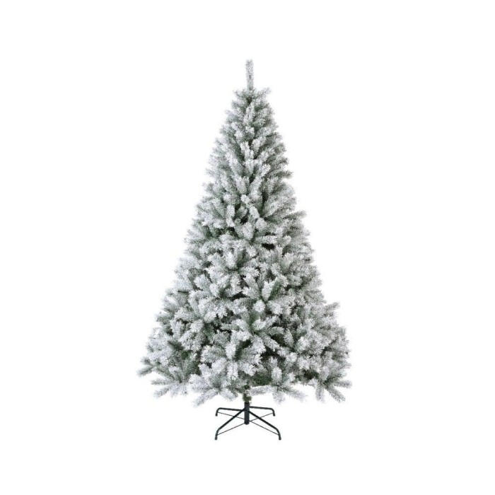 ALBERO CANADA H300 D175 INNEVA